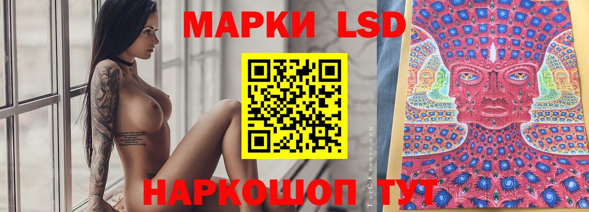 omg рабочий сайт  Вход с VPN  Курск  ЛСД экстази кислота  Лсд 25 экстази кислота  Лсд 25 экстази 