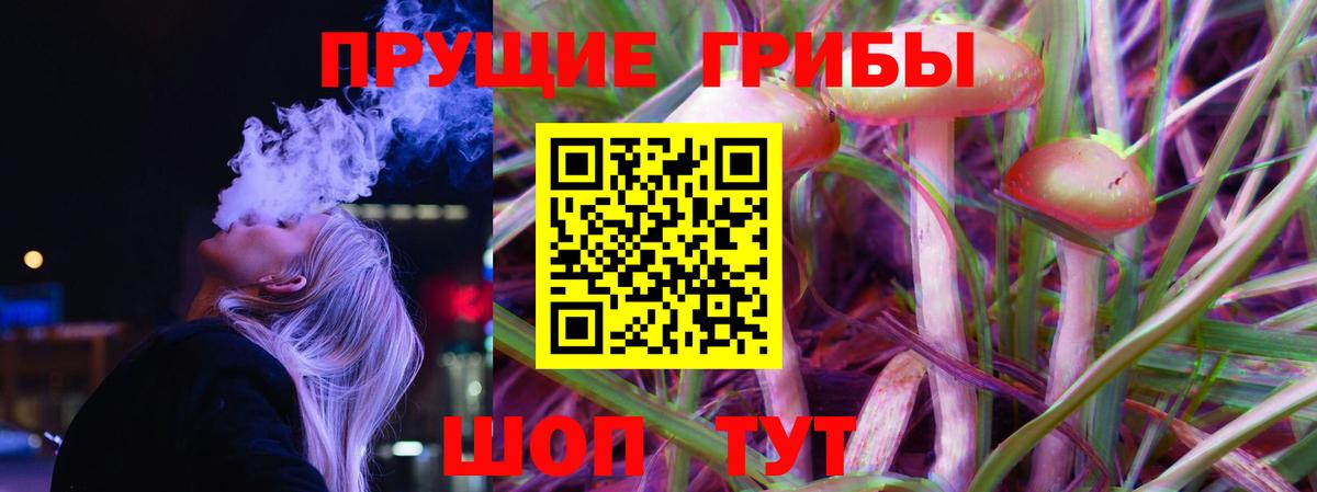 Псилоцибиновые грибы Magic Shrooms  Вход с VPN  Курск 